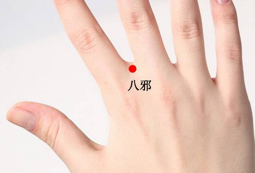 东方易元洗髓功 东方易元洗髓功